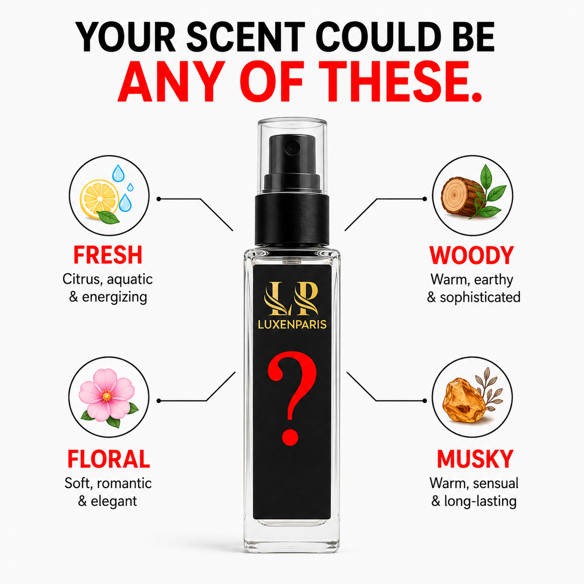 10ml Mystery Perfume Gift | Surprise Mini Fragrance | Long Lasting Unisex Perfume by Luxenparis
